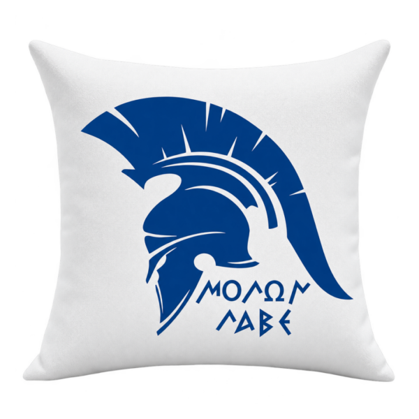 CUS2 Διακοσμητικό Μαξιλάρι 40x40
