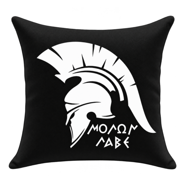 CUS2B Διακοσμητικό Μαξιλάρι 40x40