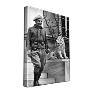 Καμβάς τελαρωμένος με εκτύπωση